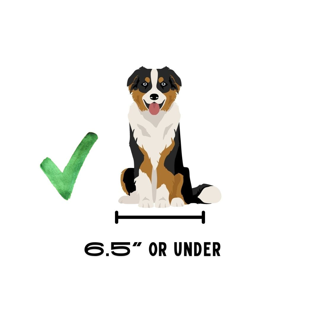 BuddyRider® Series 2