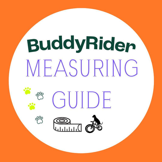 BuddyRider® Series 2