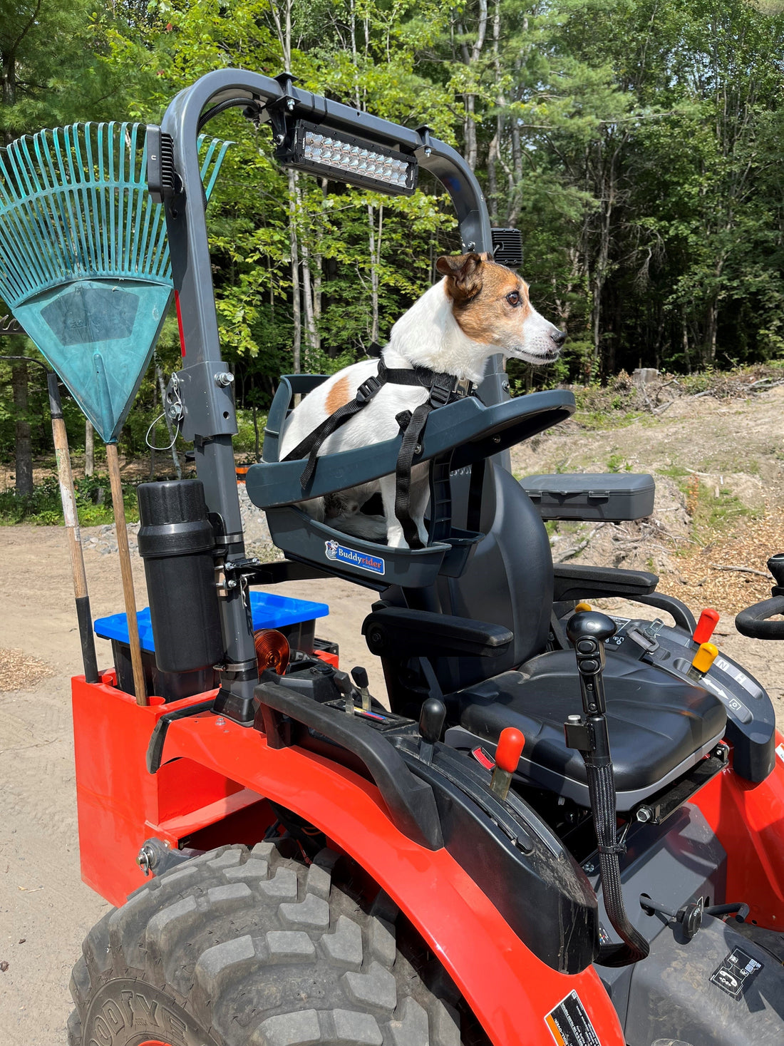 A Day in the Life: Jimmy's BuddyRider® Adventure in Burlington, Canada