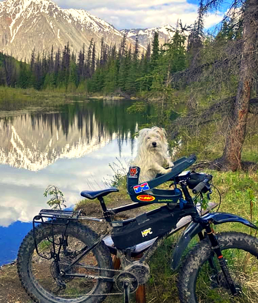 Pete Doesn't Run — He Rides: A Jack Russell's Life on the Bike Trail in Alaska