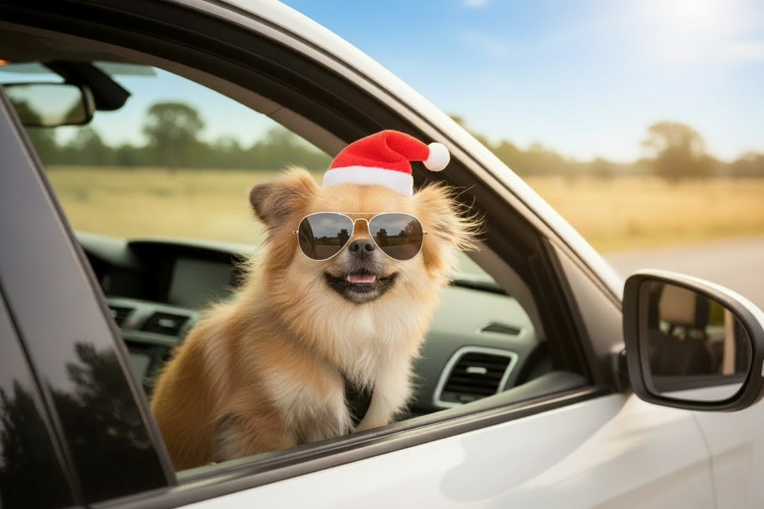 Holiday Pet Travel Guide: Essential Checklist for Travelling with Your Dog
