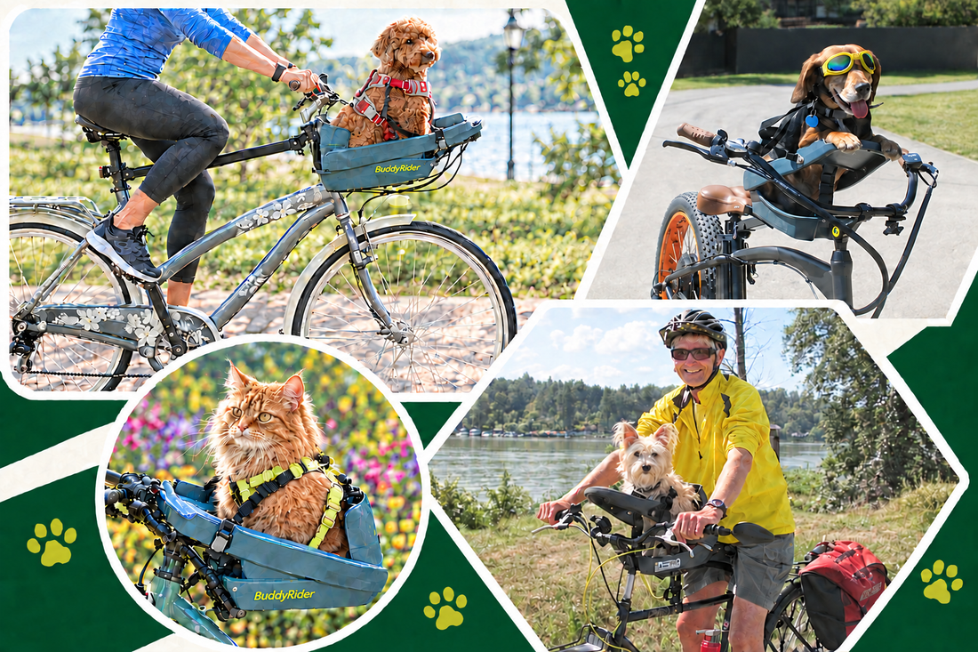 Pet Bike Baskets vs. BuddyRider®: A Better Way to Bike With Your Pet