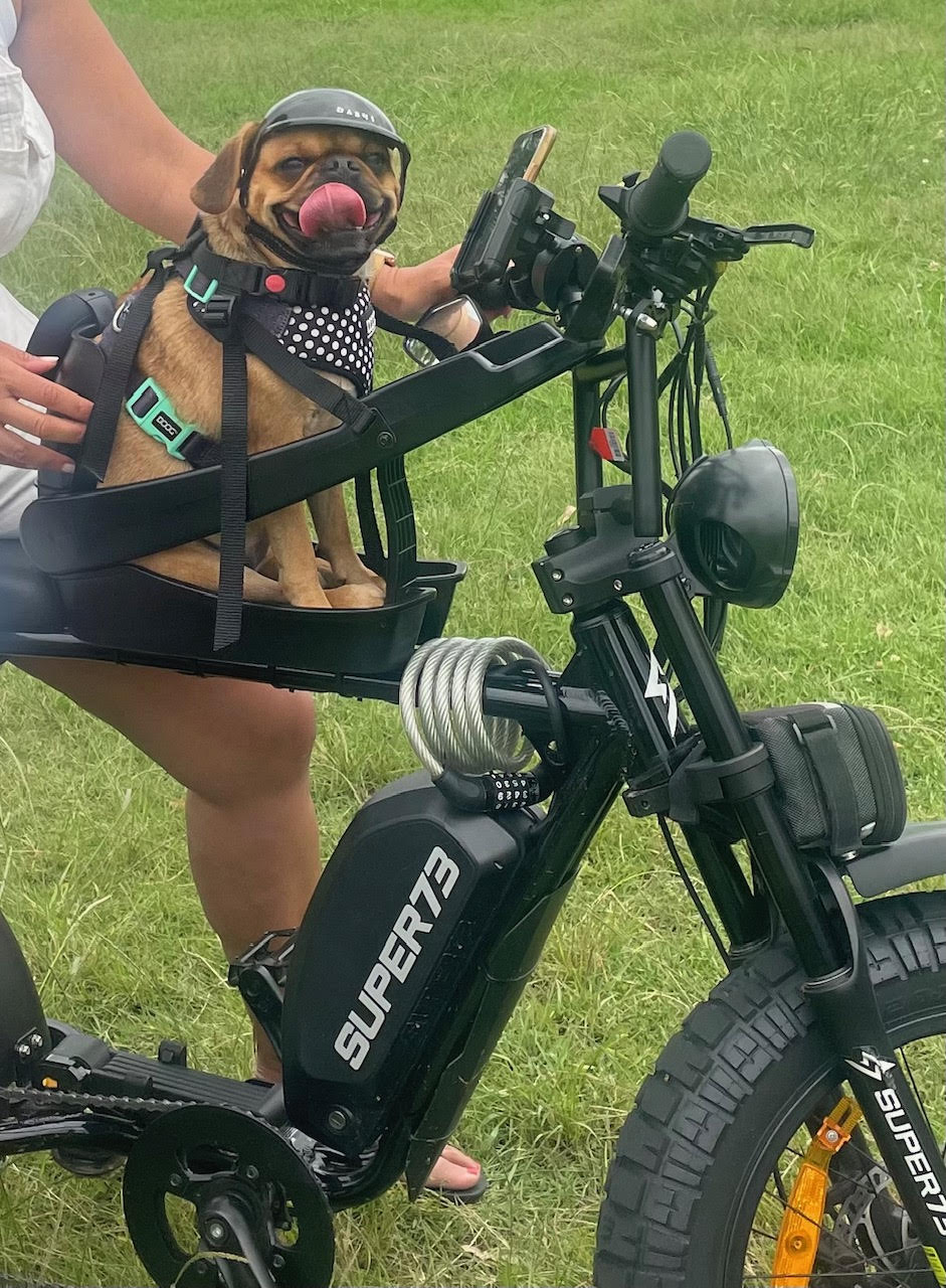 <h2>Just a few of our happy customers</h2>