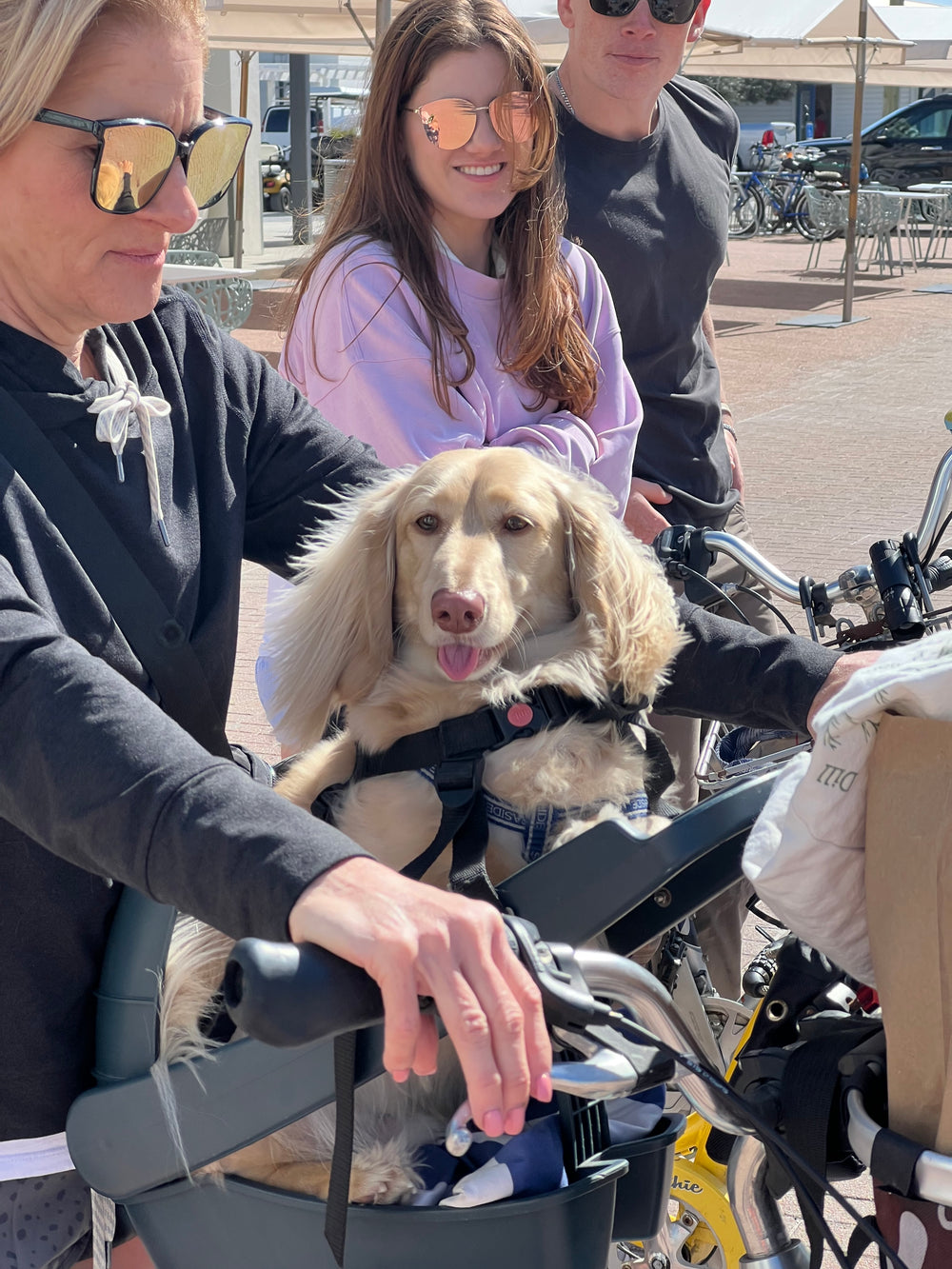 <h2>Just a few of our happy customers</h2>