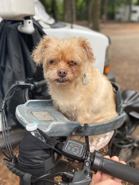 <h2>Just a few of our happy customers</h2>