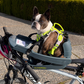 BuddyRider® Harness