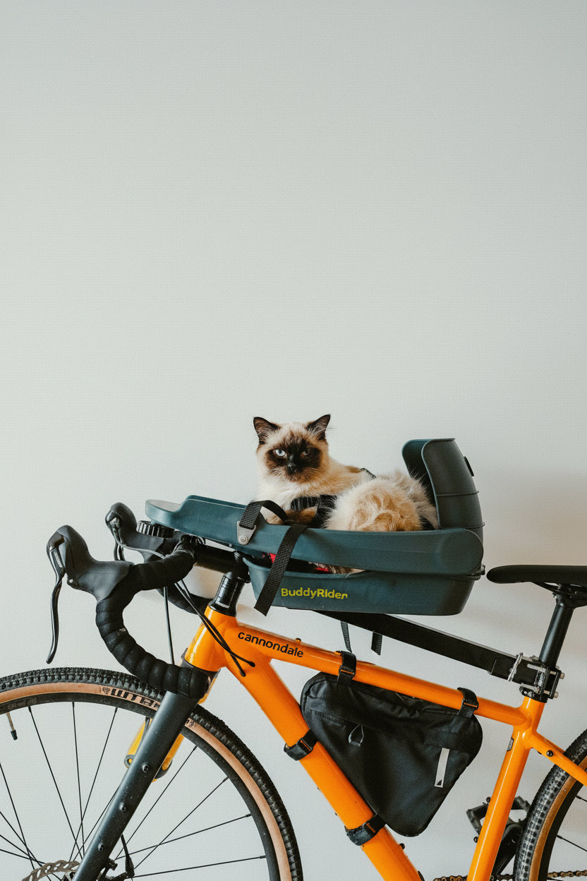 BuddyRider Series 2D Rigid-Arm Assembly