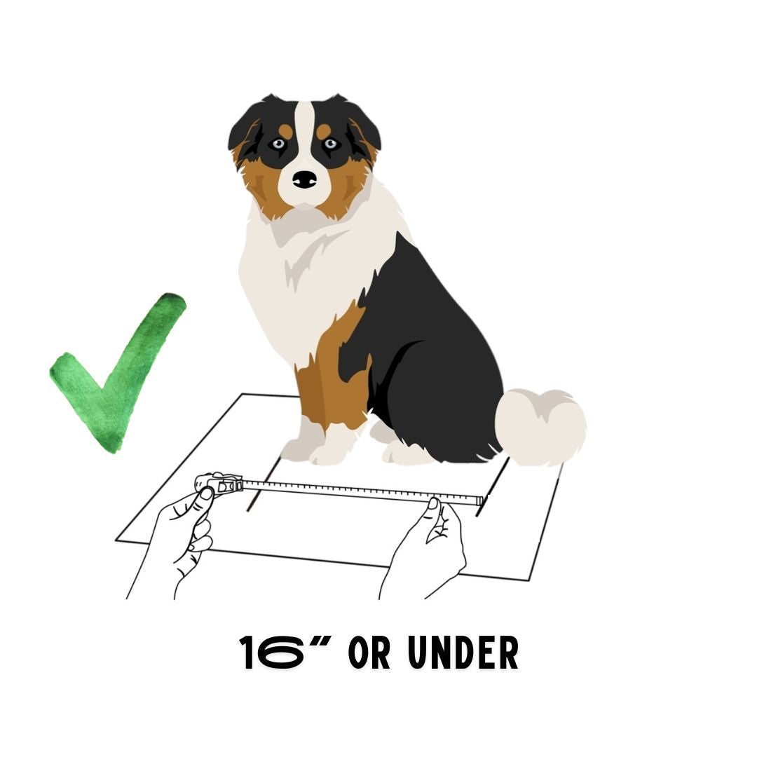 BuddyRider® Series 2 Dog Bike Seat | The Original Dog Bicycle