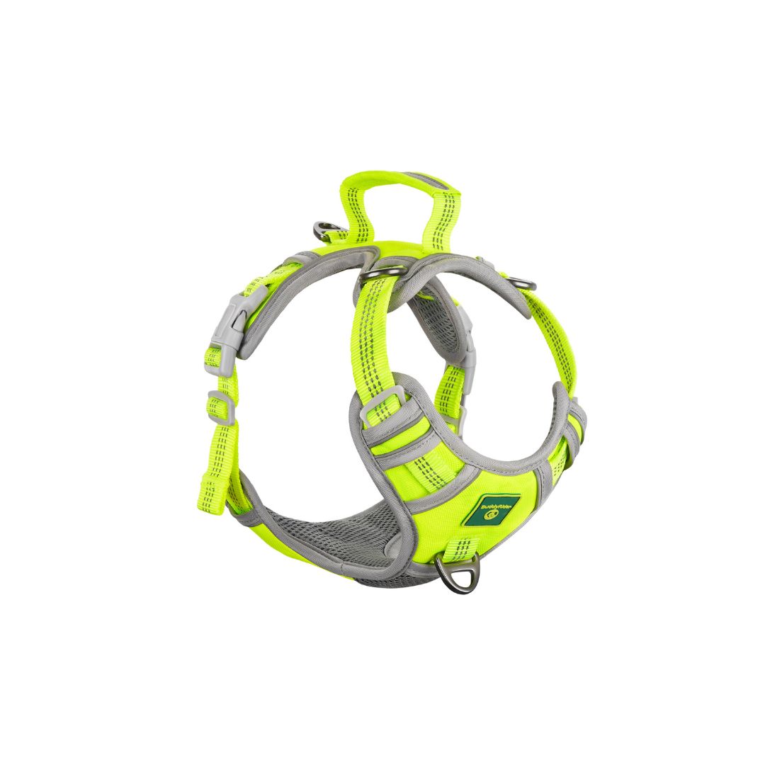 BuddyRider® Harness