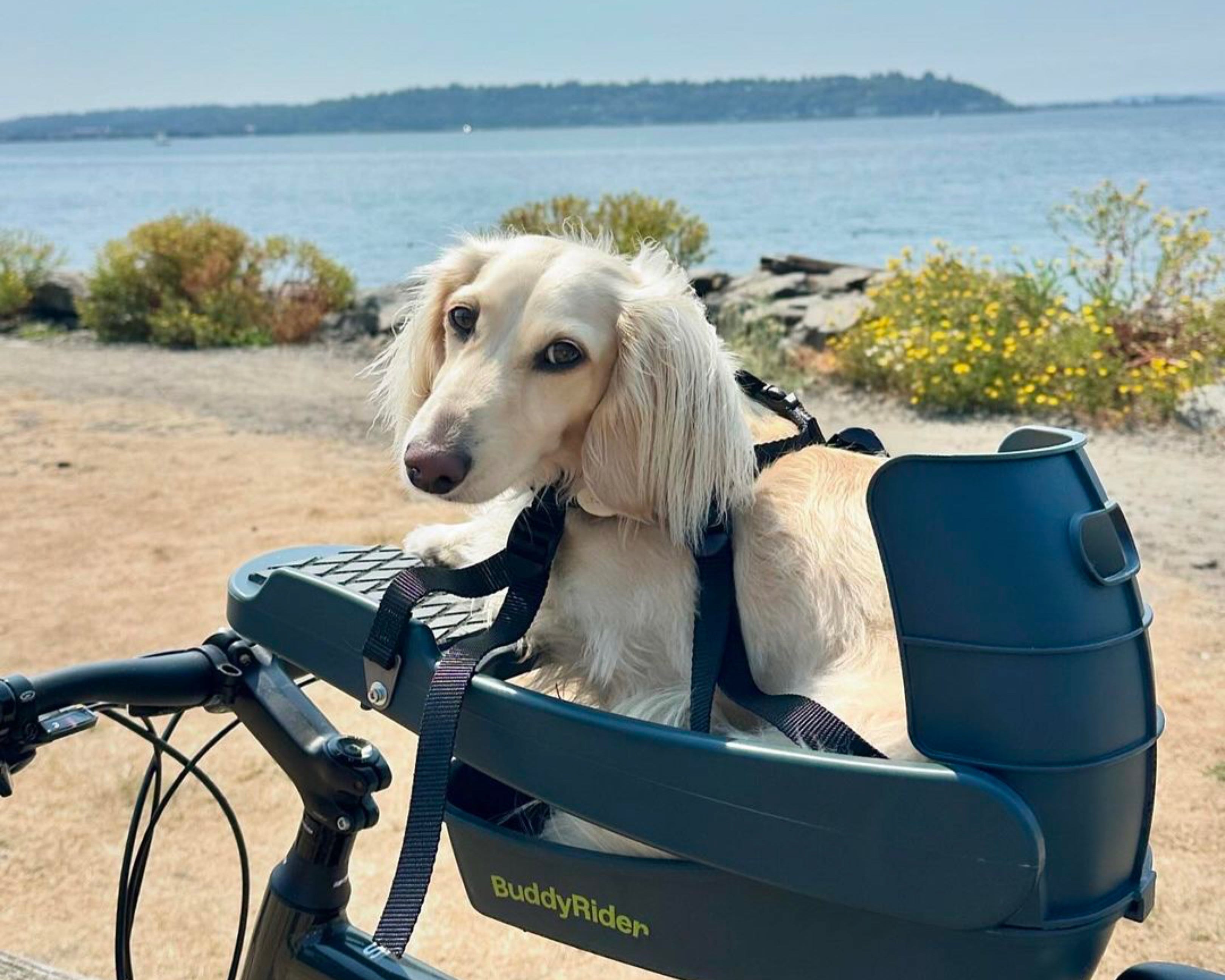 リバティー】バディライダー ブースター付き 犬用自転車シート