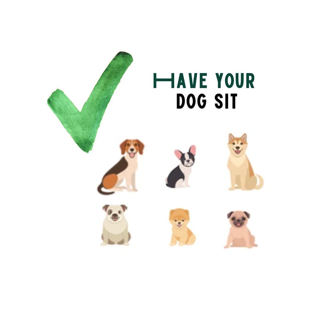 BuddyRider® Series 2