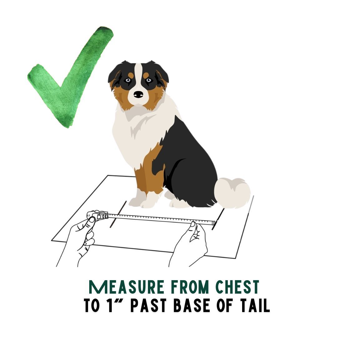 BuddyRider® Series 2